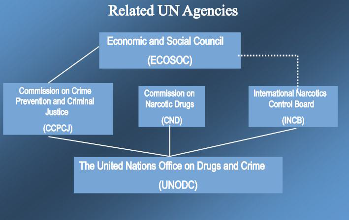 UN 마약 통제기구 관리 모식도