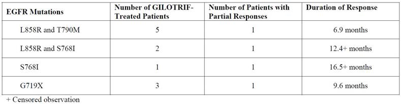 Objective Tumor Responses in GILOTRIF-Treated Patients Based on Investigator Assessment in the “Other” (Uncommon) EGFR Mutation Subgroup