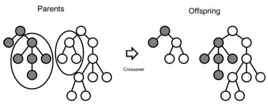 Genetic programming방법 중 Crossover의 개념