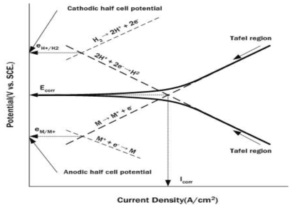 실험에 따른 분극 곡선 및 Tafel 영역에 따른 부식전위 결정
