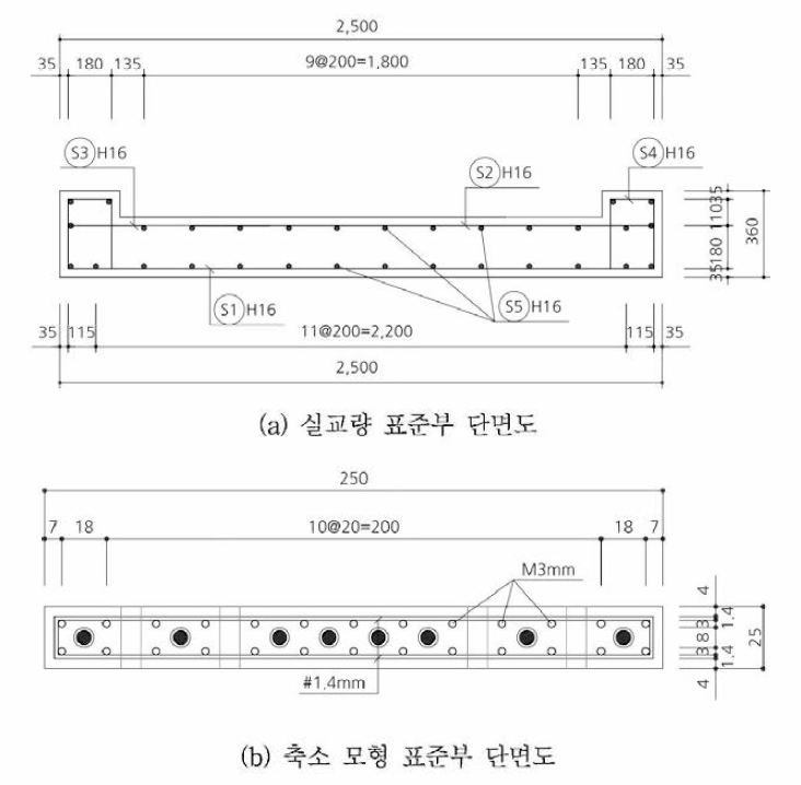 축소 모형 실험체 표준 단면도