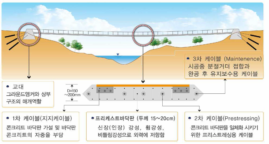 스트레스 리본 교량의 단면과 형상