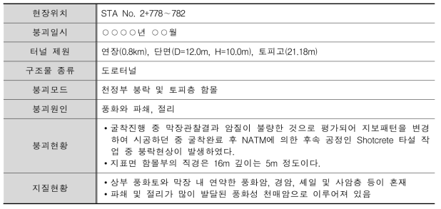 TR index 검증에 사용된 ○○터널 붕괴사고 현황