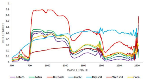 감자, 연근, 우엉, 마늘 등의 분광정보 그래프