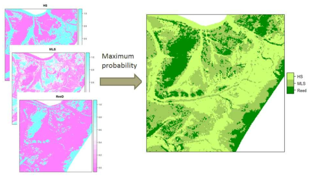 Vegetation biotope mapping using regression kriging model