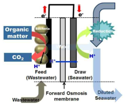 OsBR에서의 물의 전처리 과정과 전기 생산의 원리