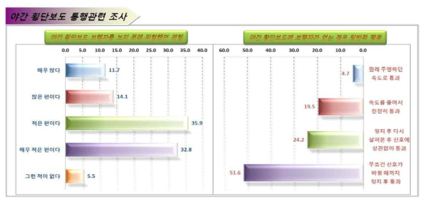 야간 횡단보도 통행관련 조사(운전자)