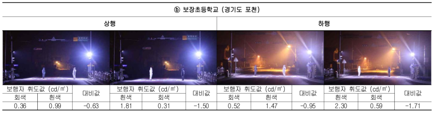 보행자 시인성 측정 (의복색상 대비)