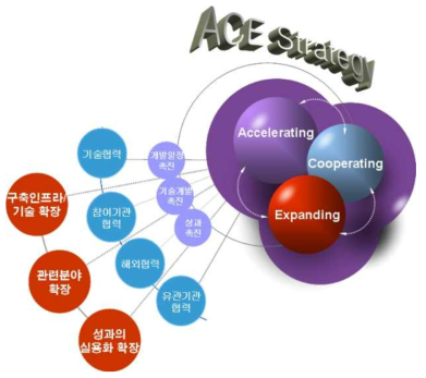 ACE(Accelerating-Cooperating-Expanding) 전략
