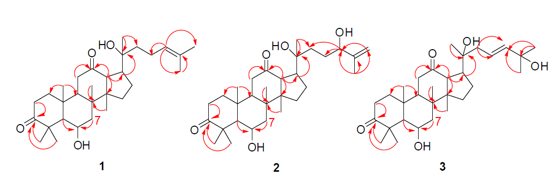 Key HMBC correlations (from H to C) for new compounds 1 - 3.