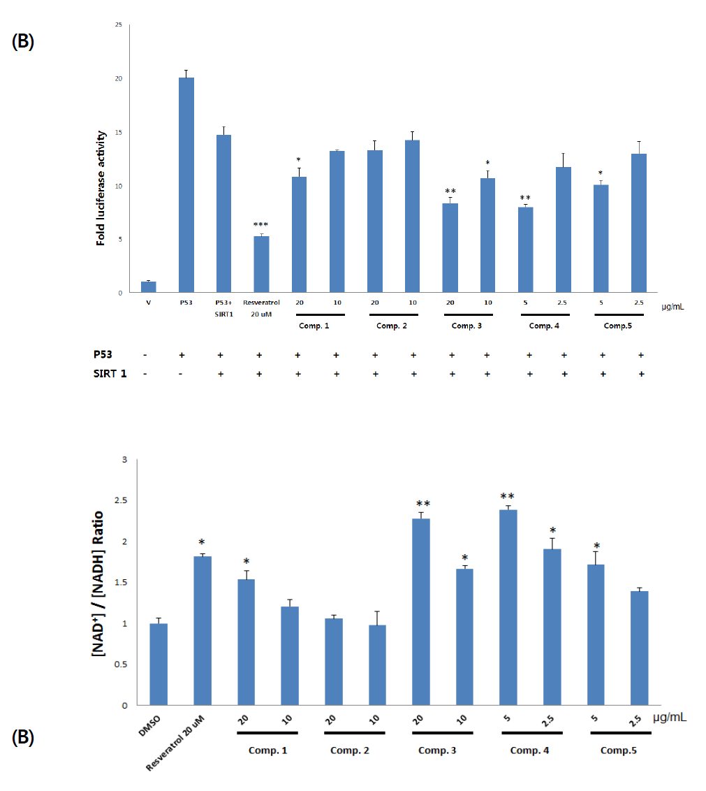 Effects of compounds 1-5 on SIRT1 activity in cell-based assays.