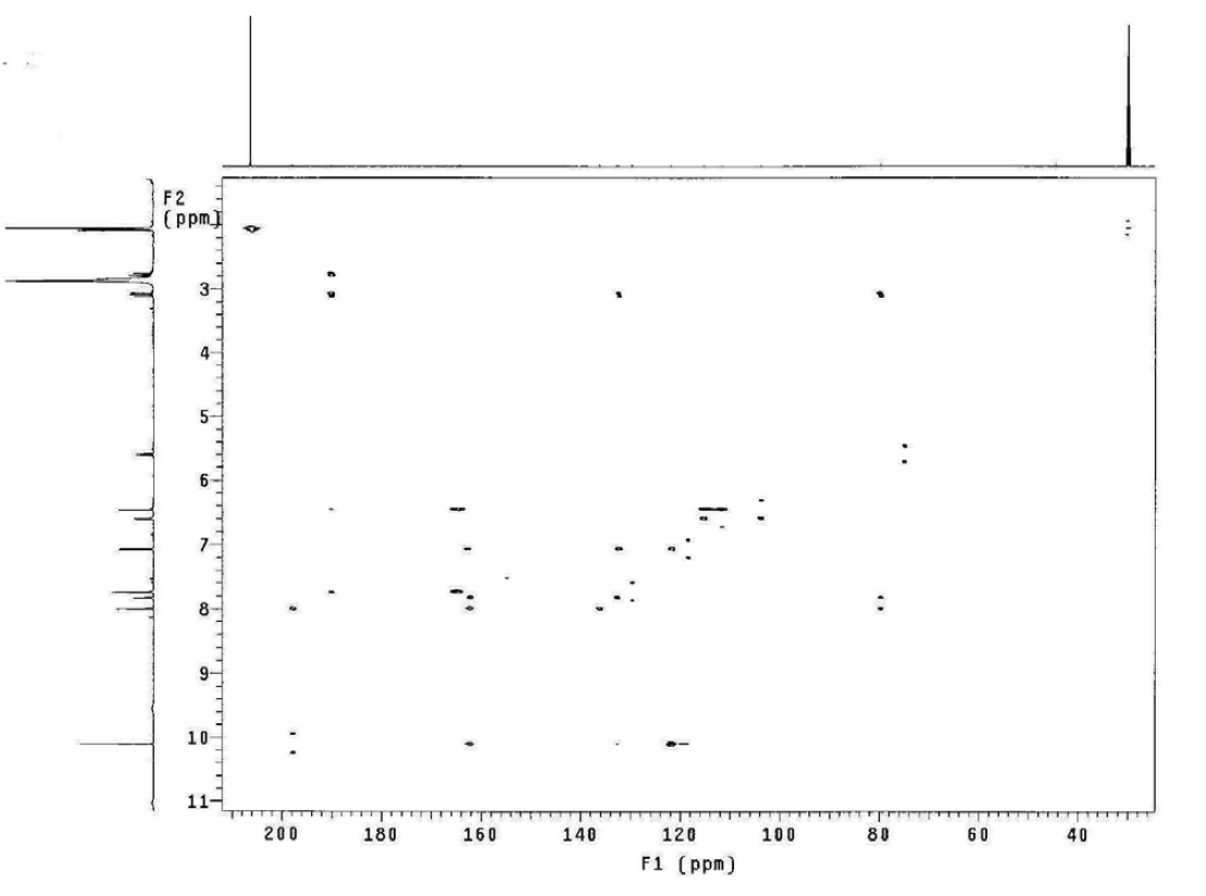 HMBC spectrum of compound 6 (500 MHz, acetone-d6)