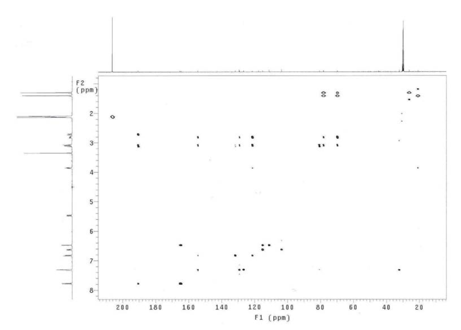 HMBC spectrum of compound 12 (500 MHz, acetone-d6)