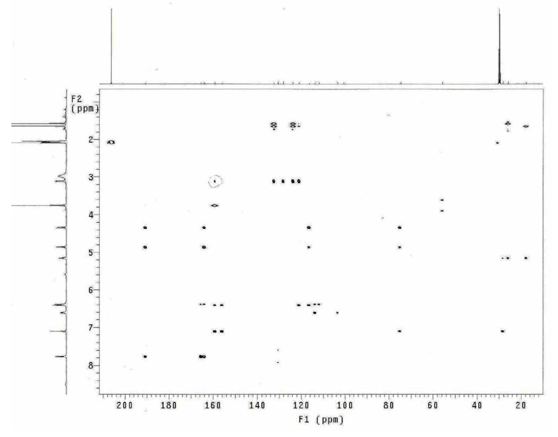 HMBC spectrum of compound 13 (500 MHz, acetone-d6)