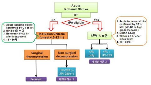 허혈성 뇌졸중 환자의 분류