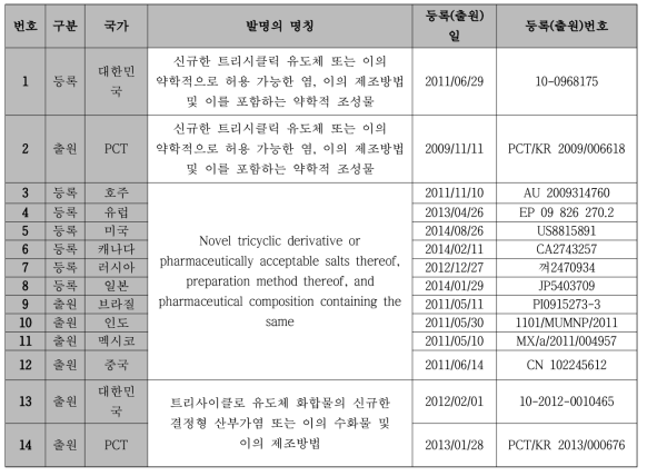 관련기술 / 제품의 국내·외 지식재산권(특허 등) 현황