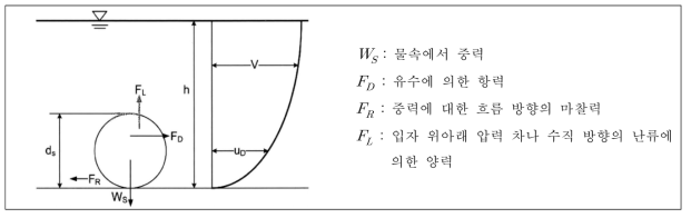 하상에 위치한 사립자에 작용하는 힘