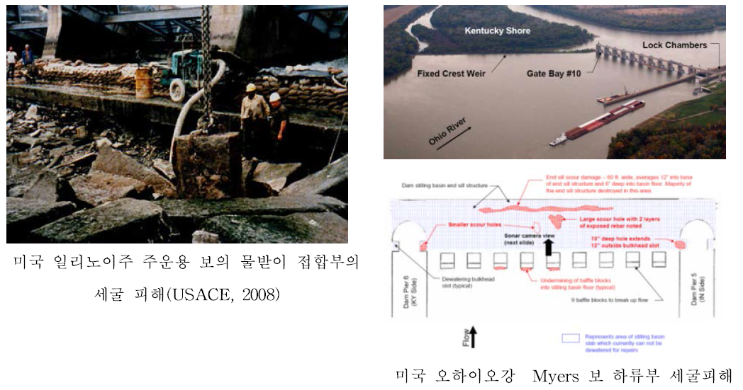 미국의 피해사례