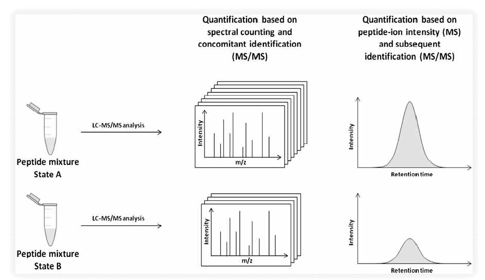 Label Free Quantification에 대한 두 가지 approach (Biochimica et Biophysica Acta 183;2013)