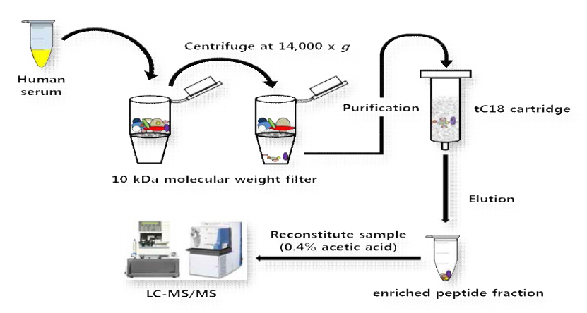 kDa molecular weight filter를 endogenous 펩타이드 추출에 대한 workflow