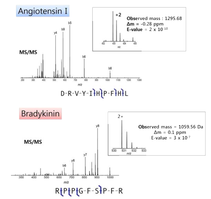 Angiotensin I 과 bradykinin의 질량분석 데이터