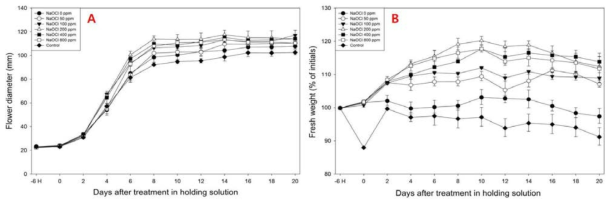 전처리 NaOCl 농도에 따른 국화 ‘신마’의 보존용액에서의 화폭(A)과 생체중(B)의 변화