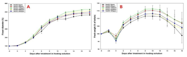 국화 ‘신마’의 습식예냉에서 전처리 NaOCl 농도에 따른 화폭(A), 생체중(B) 변화