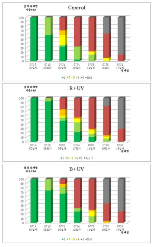 처리별 절화수명과 각 개화단계별 경과일별 분포(2017년7월 중국수출실험)