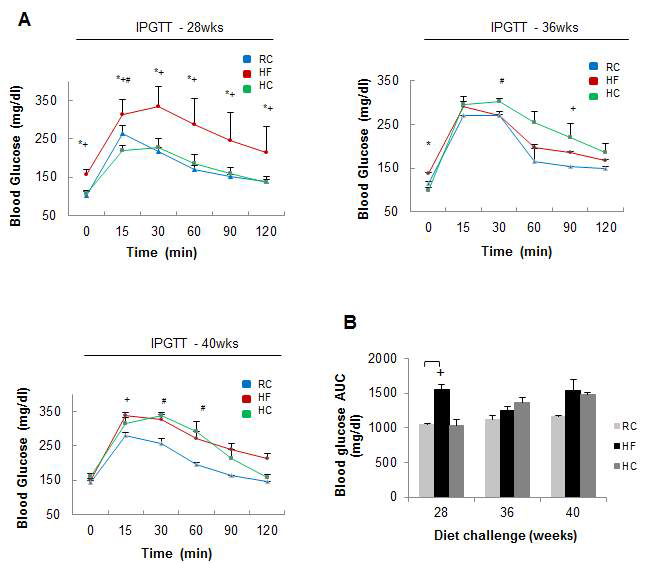 HBx 마우스의 고지방, 고탄수화물 식이섭취에 의한 혈당내당능(glucose tolerance)변화