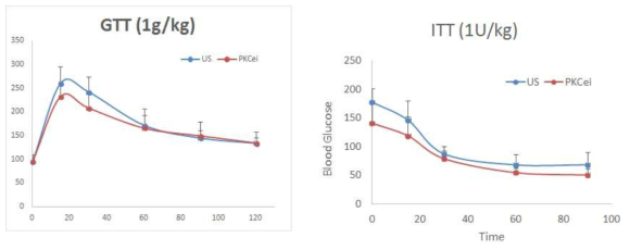 PKC epsilon knockdown에 따른 metabolic phenotype 변이 측정.