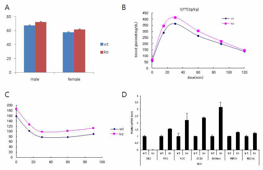 SIK2 knockout mouse의 glucose homeostasis에 관한 연구.