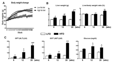 HFD 동물 모델에서 시기별 무게 변화와 serum 인자 변화