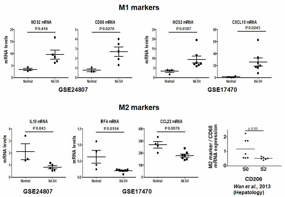 Normal 군과 NASH 환자 군 간의 M1, M2 marker mRNA level 차이