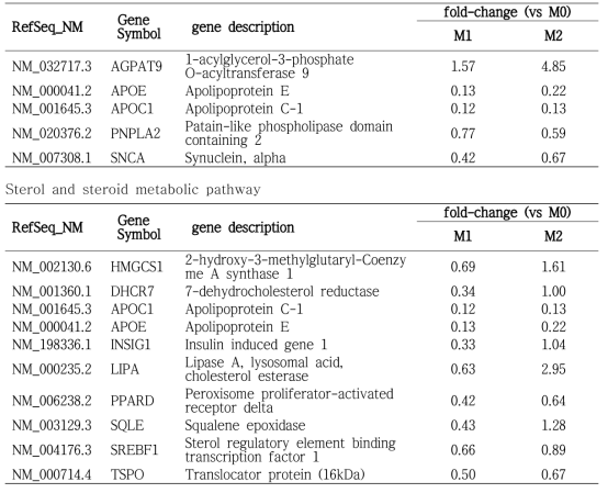 M1과 M2 활성화 시 통계적으로 유의성 있게 변하는 neutral lipid, triglyceride, sterol, steroid metabolic biological pathways (modified Fisher Exact P-value < 0.05) Neutral lipid and triglyceride metabolic pathway