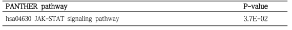 M1과 M2 활성화 시 의해 통계적으로 유의성있게 변하는 554개 유전자에 대한 overrepresented 된 PANTHER pathways (modified Fisher Exact P-value < 0.05)