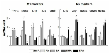 유리지방산에 의한 Kupffer cell M1, M2 marker mRNA 변화