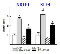 NR1F1 리간드 JC1-40에 의한 Kupffer cell의 NR1F1, KLF4 전사 level 변화