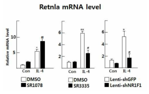 NR1F1에 의한 M2의 대표적 유전자 marker인 Retnla 전사 활성 변화