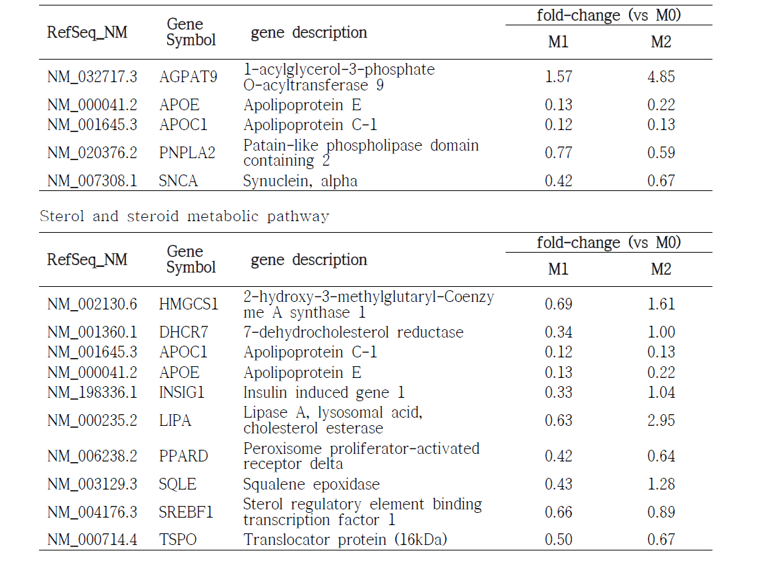 M1과 M2 활성화 시 통계적으로 유의성 있게 변하는 neutral lipid, triglyceride, sterol, steroid metabolic biological pathways (modified Fisher Exact P-value < 0.05) Neutral lipid and triglyceride metabolic pathway