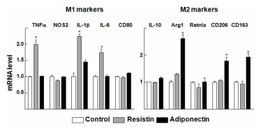 Adiponectin과 Resistin에 의한 Kupffer cell M1, M2 marker mRNA 변화