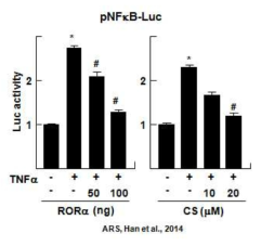 NR1F1에 의한 NF-kB 활성 변화 (pNF-κB-LUC reproter gene assay)