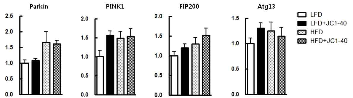 고지방식이로 유도된 NASH 마우스 모델에서 NR1F1 리간드에 의한 mitophagic pathway 관련 유전자의 변화