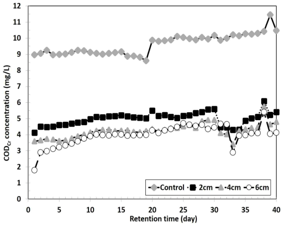 피복 골재 효율 유지 기간 평가 CODCr 실험 결과
