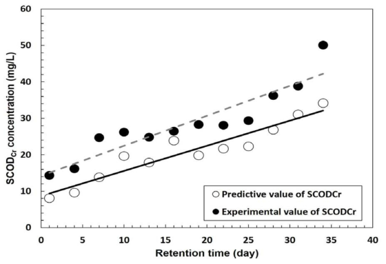 피복 골재 사용 SCODcr 실측값과 예측값의 비교 결과