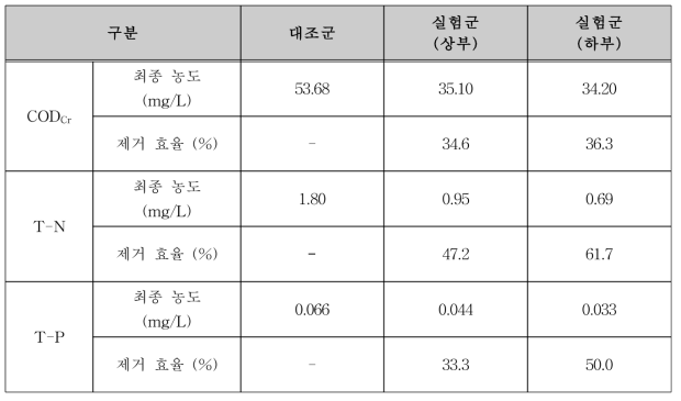 서울시립대학교 현장 반응조 내 오염물질 제거 효율