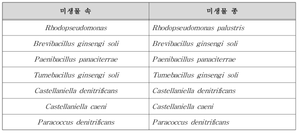 Denitrification 기여 미생물