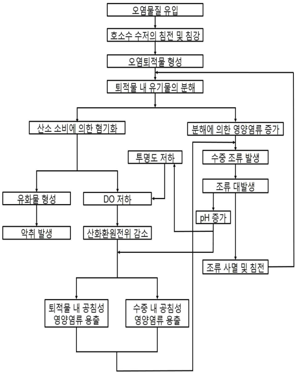 오염퇴적물의 발생 및 순환과정