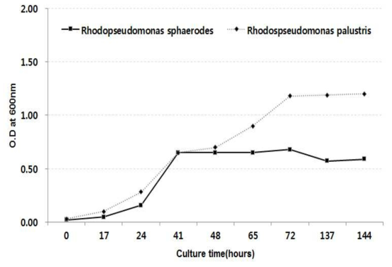 Photosynthetic bacteria의 성장곡선