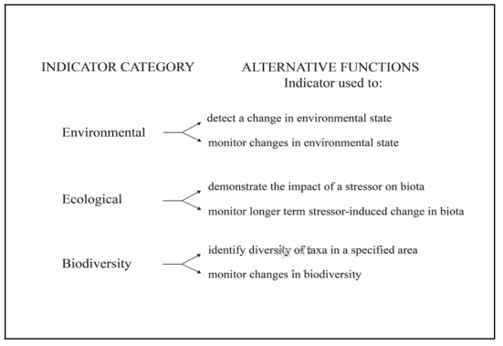 각 생물지표의 범주 및 기능 (곤충의 예)