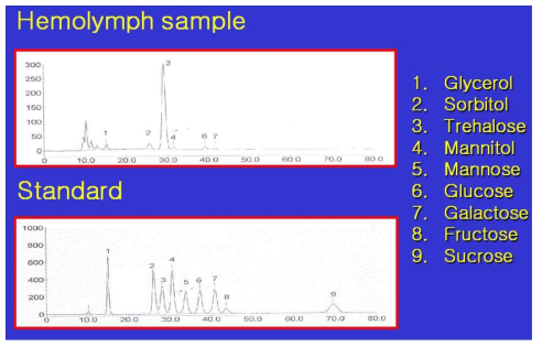 붉은점모시나비의 체내 내동결물질 분석(Hemolymph sample,Standard)